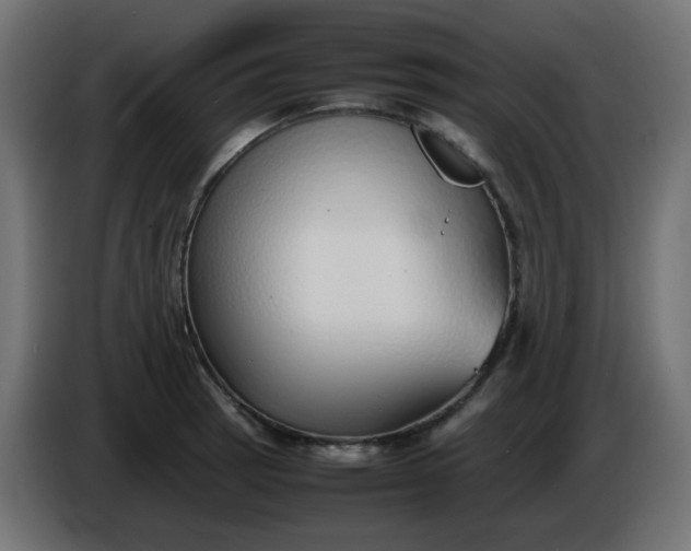 X0000086331137200704131712