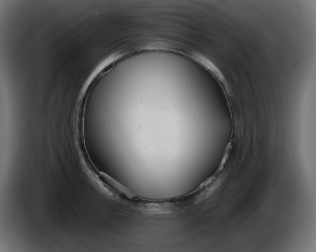 X0000086331138200704131712