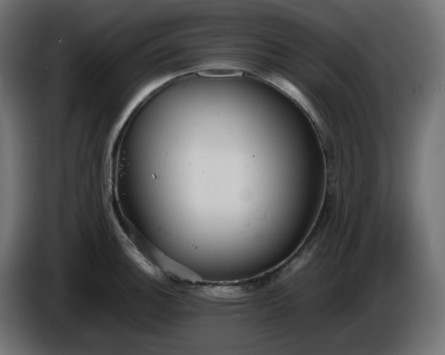 X0000086331140200704131712