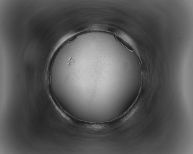 X0000086331141200704131712