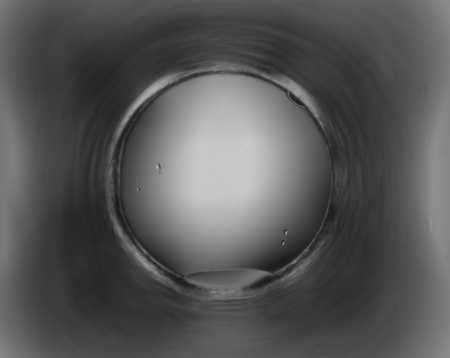 X0000086331142200704131712