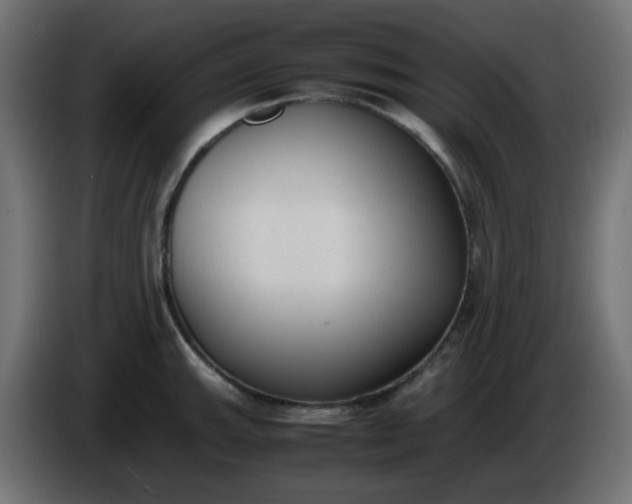 X0000086331143200704131712