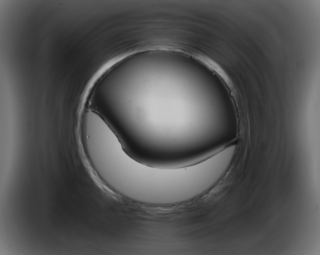 X0000086331144200704131712