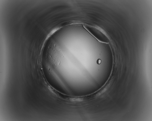 X0000086331145200704131712