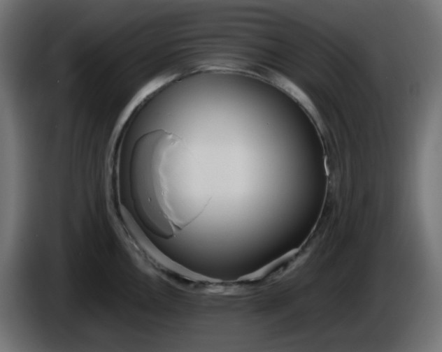 X0000086331146200704131713