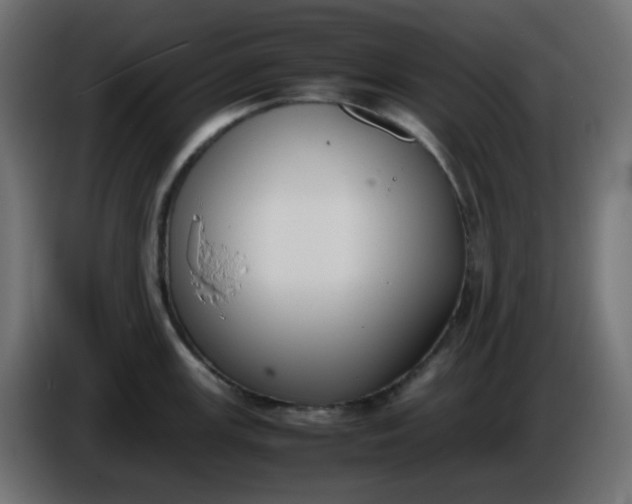 X0000086331147200704131713