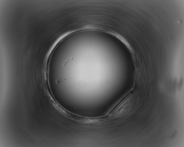 X0000086331148200704131713