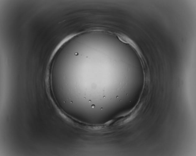 X0000086331149200704131713