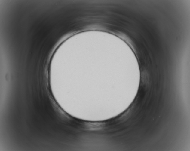 X0000086331150200704131713