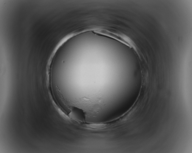 X0000086331151200704131713