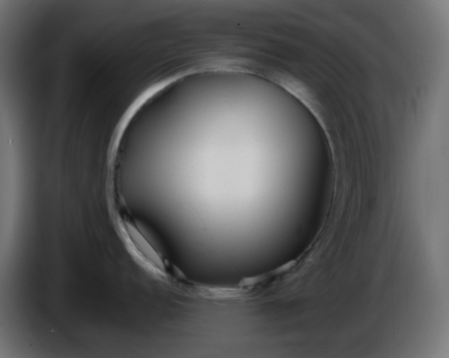 X0000086331152200704131713