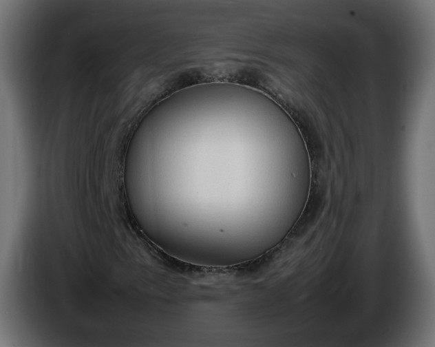 X0000086331153200704131712