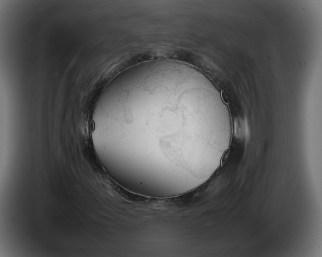 X0000086331155200704131712