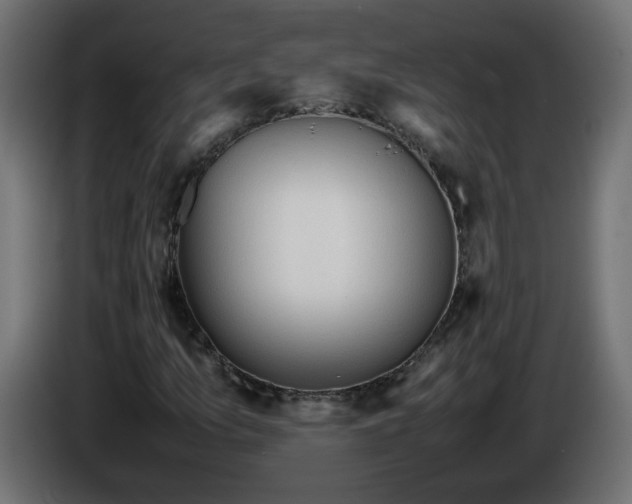 X0000086331157200704131712