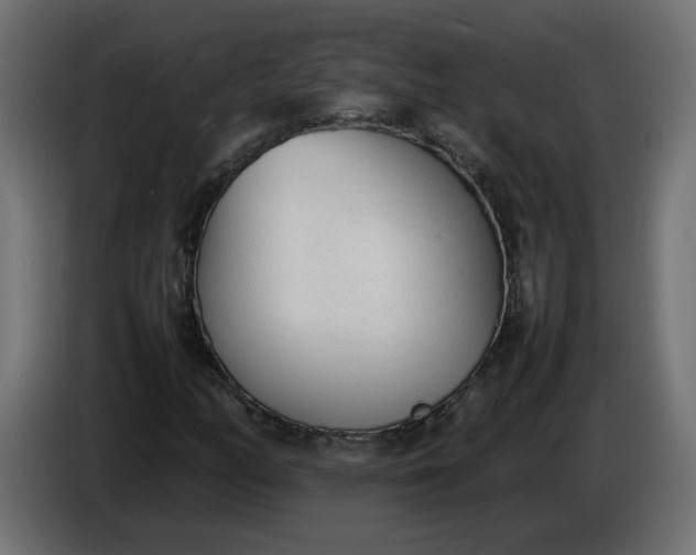 X0000086331158200704131712