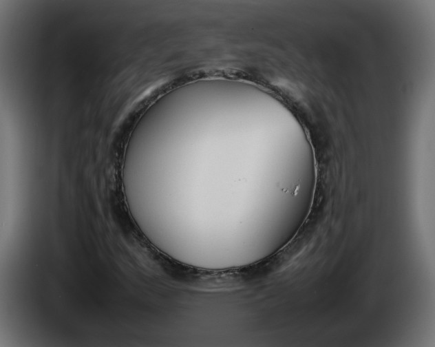 X0000086331159200704131712