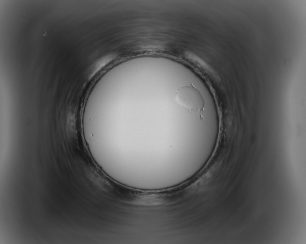 X0000086331162200704131712