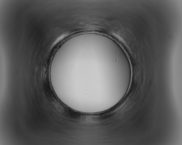 X0000086331163200704131712