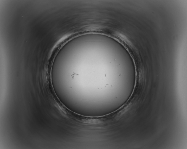 X0000086331164200704131712