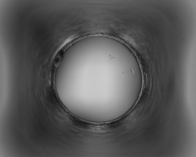 X0000086331165200704131712