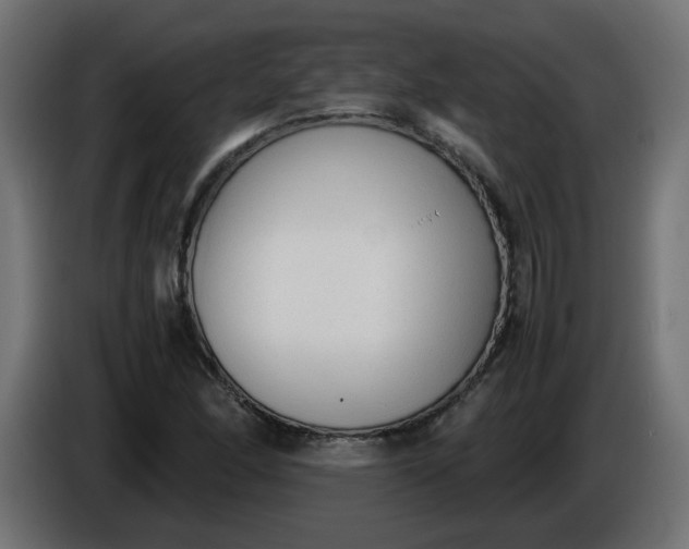 X0000086331166200704131712