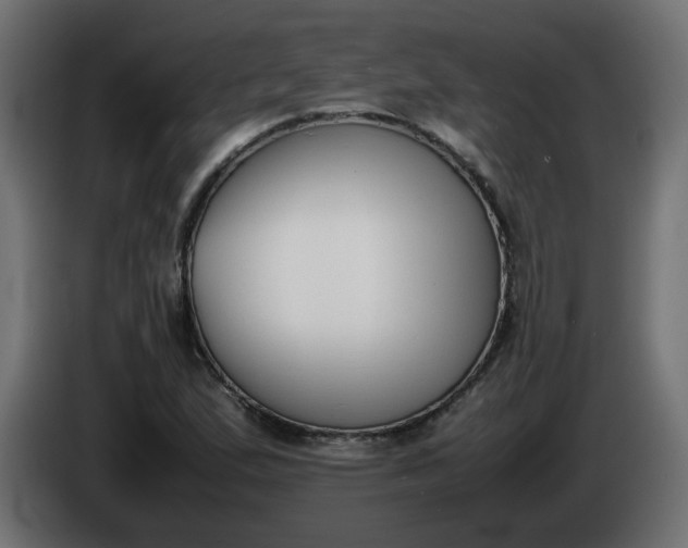 X0000086331167200704131712