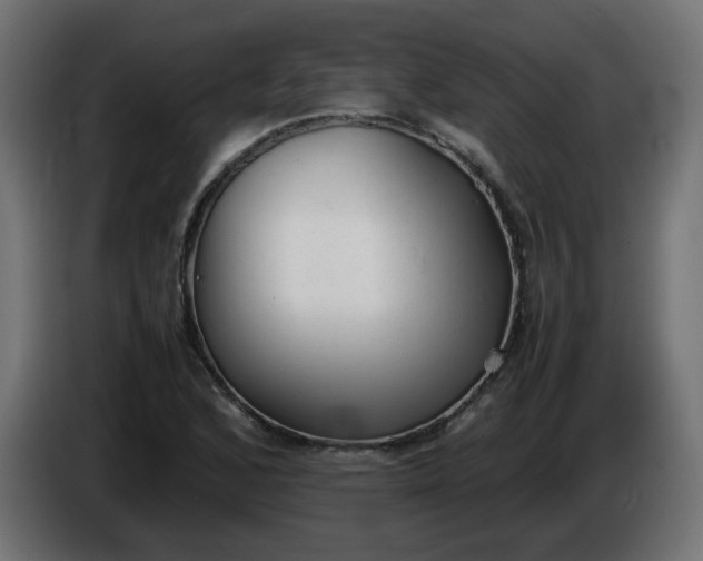 X0000086331168200704131712