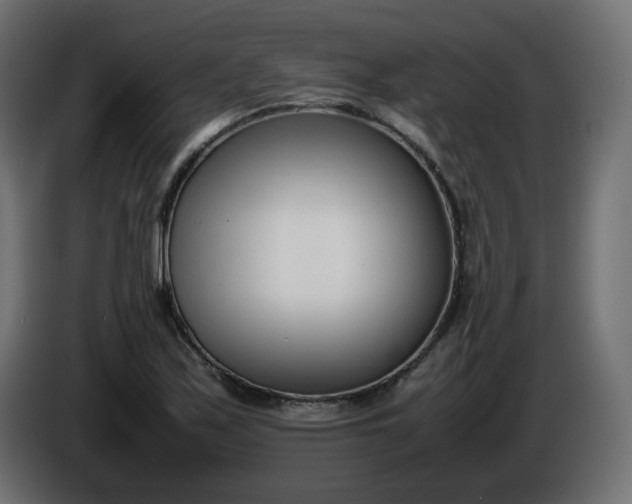 X0000086331171200704131711