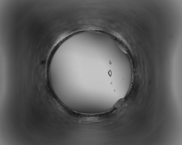 X0000086331173200704131711