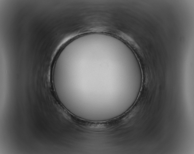 X0000086331174200704131711