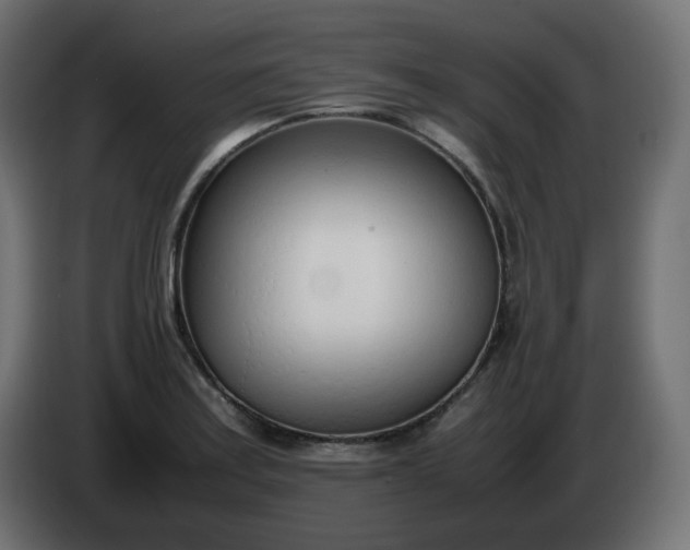 X0000086331179200704131711