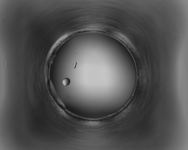 X0000086331180200704131711