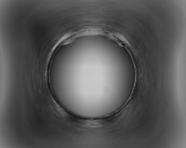 X0000086331181200704131711