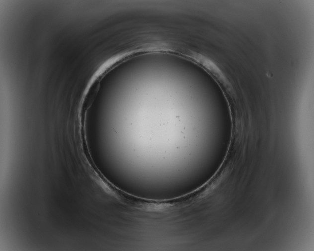 X0000086331184200704131711