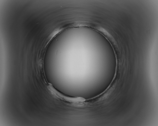 X0000086331185200704131711