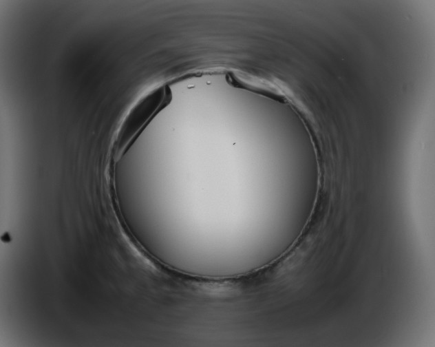 X0000086331189200704131711