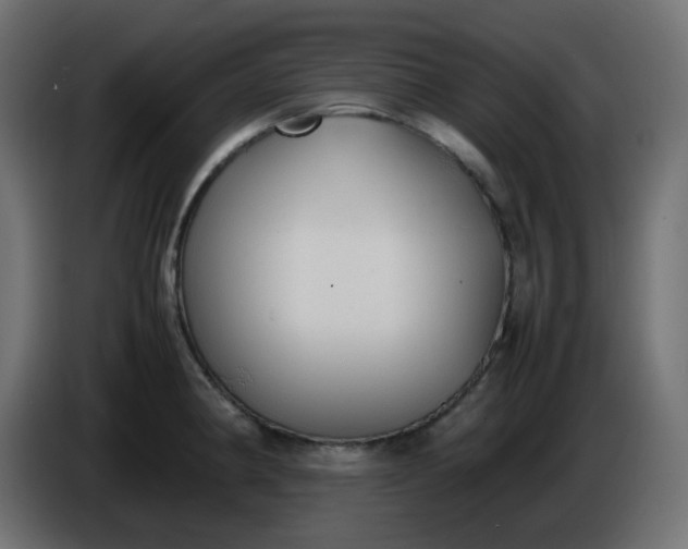 X0000086331190200704131711