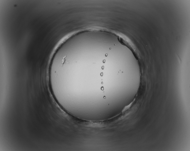 X0000086331191200704131711