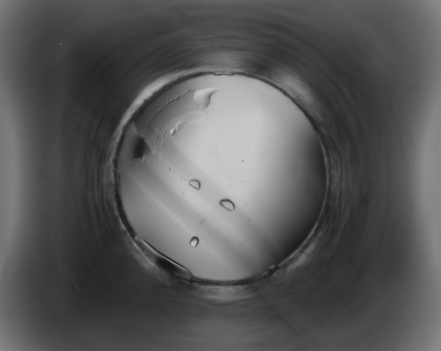 X0000086331192200704131711