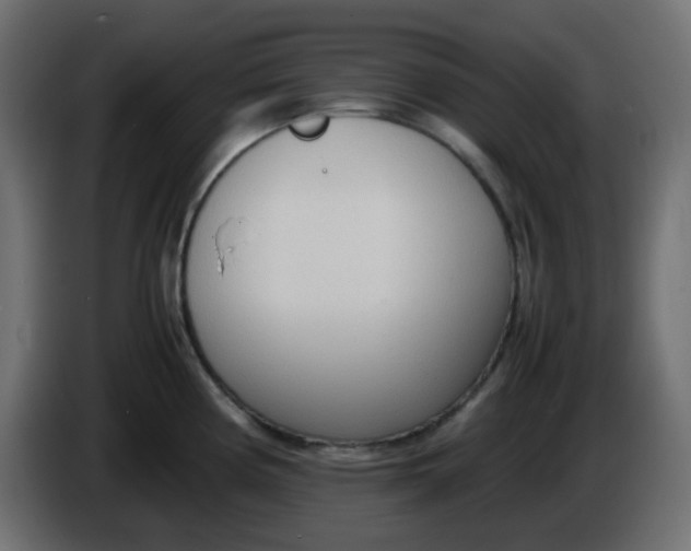 X0000086331194200704131711