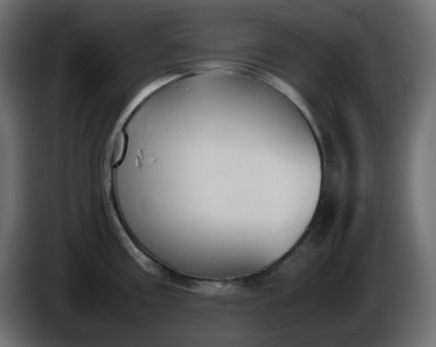 X0000086331195200704131711