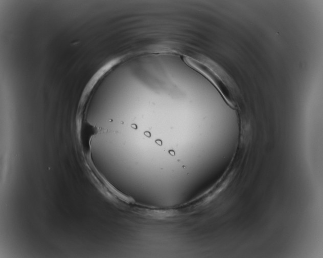 X0000086331196200704131711