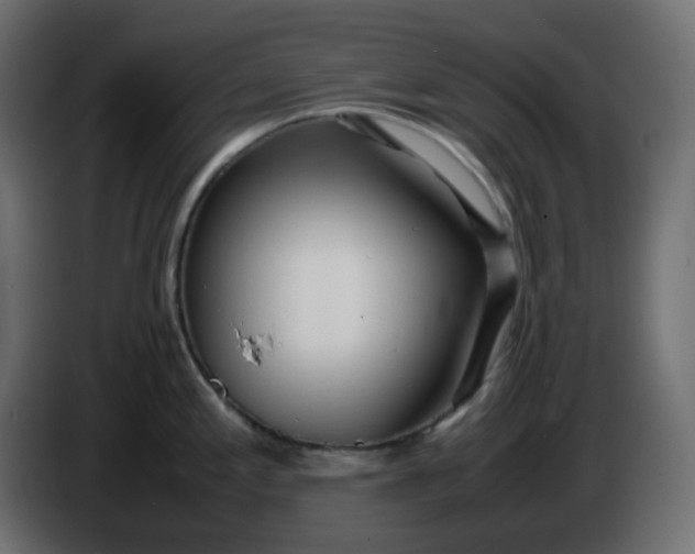 X0000086331197200704131711