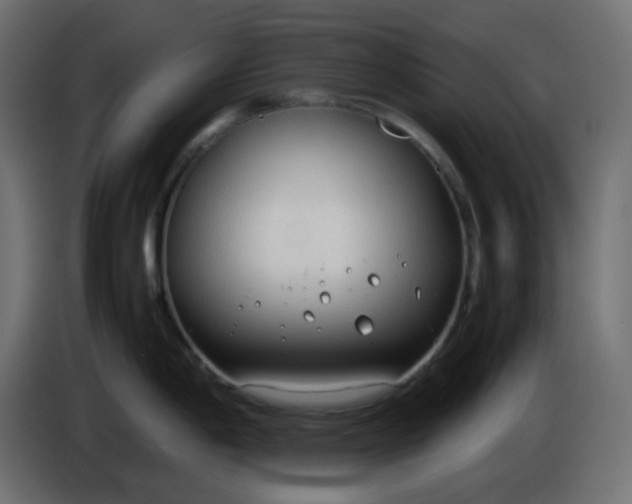 X0000086331198200704131711