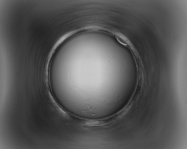 X0000086331199200704131711