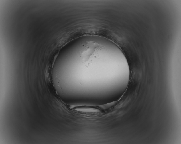 X0000086331202200704131710