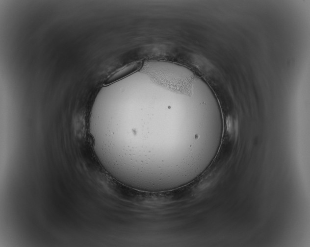 X0000086331203200704131710