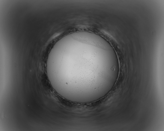 X0000086331207200704131710