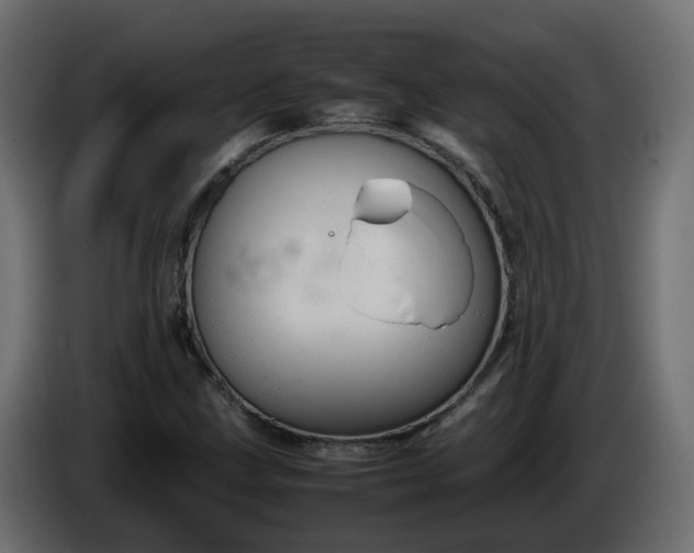 X0000086331211200704131710