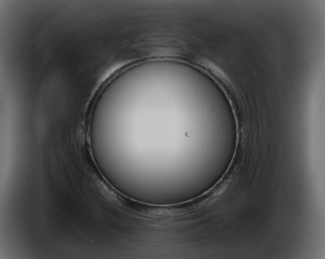 X0000086331212200704131710